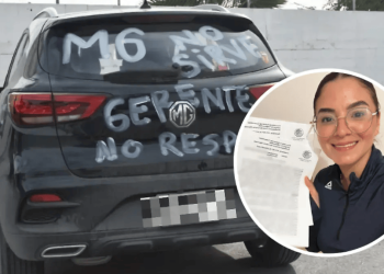 Alejandra Ceccopieri gana demanda contra MG tras 10 meses de lucha
