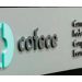 COFECE inicia investigación sobre el mercado de entretenimiento en México