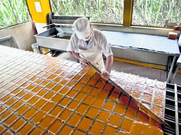 La tasa de empleo informal alcanzó el 54.6% en noviembre de 2024,