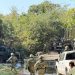 México refuerza la seguridad y bienestar en la frontera con Guatemala.