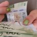 Multas de tránsito aumentarán en 2025: conoce el nuevo valor de la UMA