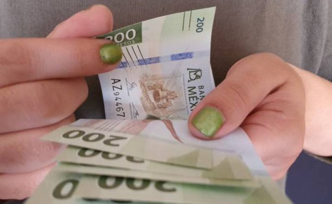 Multas de tránsito aumentarán en 2025: conoce el nuevo valor de la UMA
