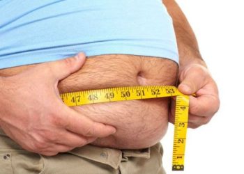 Descubren proteína clave para combatir la obesidad y enfermedades metabólicas