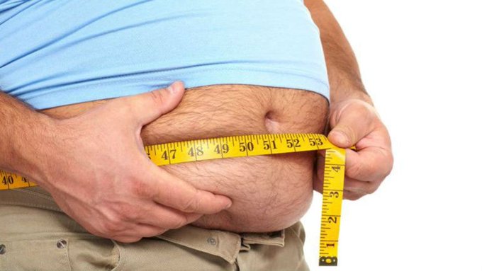 Descubren proteína clave para combatir la obesidad y enfermedades metabólicas