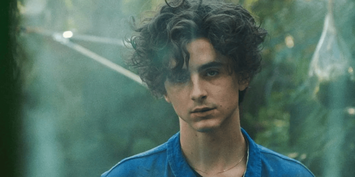 Timothée Chalamet elogia a Peso Pluma: ¿Qué dijo el actor que interpretará a Bob Dylan?