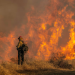 Incendios en California: México envía refuerzos mientras el fuego arrasa más de 16,000 hectáreas