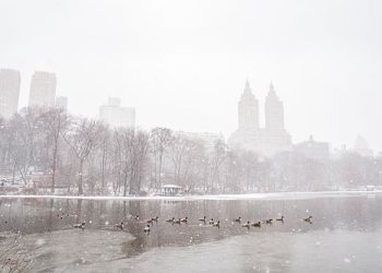 Cinco muertos y decenas de heridos por el peor temporal de nieve en décadas en EE.UU.