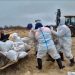 Emergencia en Crimea por derrame de petróleo; aseguran que no hay daño masivo