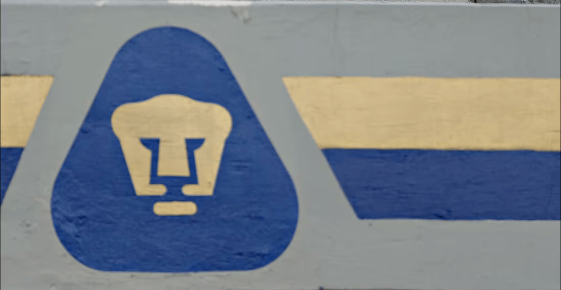 Raúl Alpízar es el DT interino de Pumas tras salida de Gustavo Lema