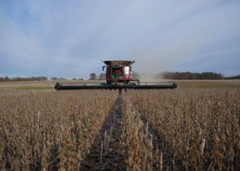 Nuevas facilidades fiscales para el campo y el autotransporte en 2025