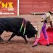 Jueza prohíbe el uso de instrumentos de maltrato en corridas de toros en CDMX