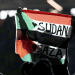Detenido el hombre que mostró bandera de Palestina en el Super Bowl