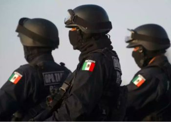 México suma 70 policías asesinados en 2025; violencia sigue en aumento