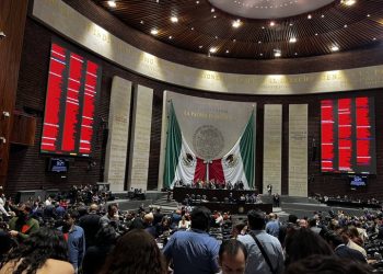 Aprueban reforma sobre nepotismo y reelección sin modificaciones