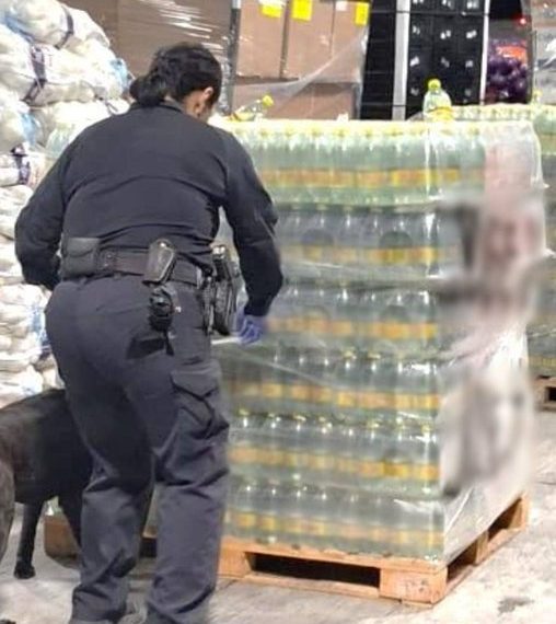Interceptan más de una tonelada de metanfetamina oculta en botellas de agua mineral en la frontera de Texas