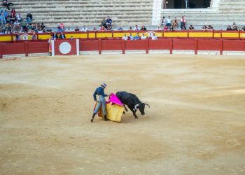 CDMX avanza hacia corridas de toros sin violencia: Congreso aprueba iniciativa
