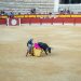 CDMX avanza hacia corridas de toros sin violencia: Congreso aprueba iniciativa