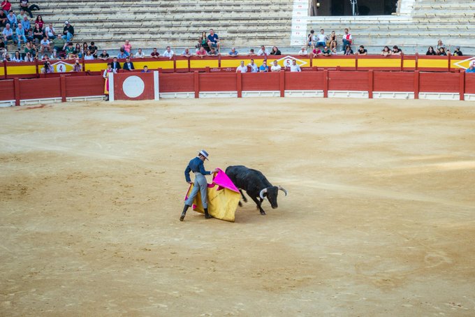 CDMX avanza hacia corridas de toros sin violencia: Congreso aprueba iniciativa