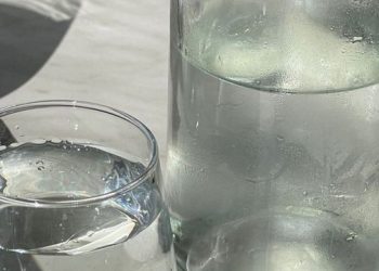Impulsan en el Senado la “Ley Vaso de Agua” como derecho laboral