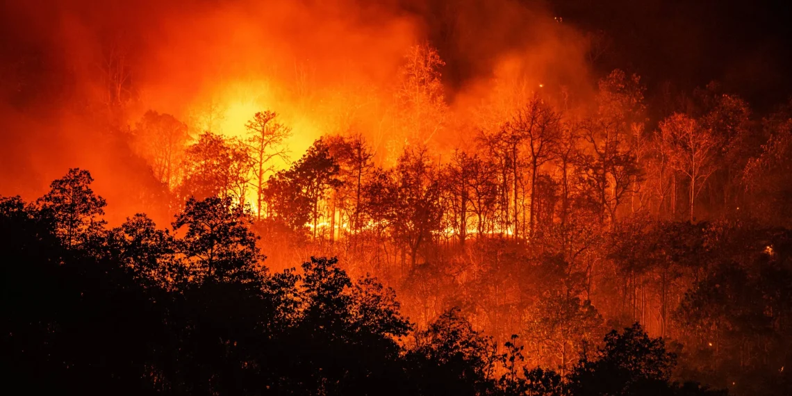 Japón enfrenta el mayor incendio forestal en tres décadas