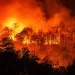 Japón enfrenta el mayor incendio forestal en tres décadas