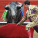 Toreros rechazan las corridas sin violencia: “Destruyen nuestra identidad”