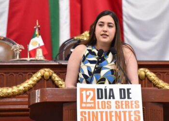 Impulsan reforma para otorgar días de descanso por duelo familiar o pérdida de mascota