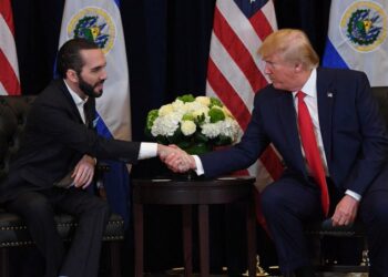 Bukele ofrece apoyo a EE.UU. contra el terrorismo y defiende retención de migrante salvadoreño