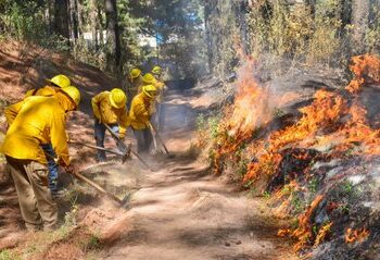 Edomex aplicará hasta 10 años de prisión por provocar incendios forestales