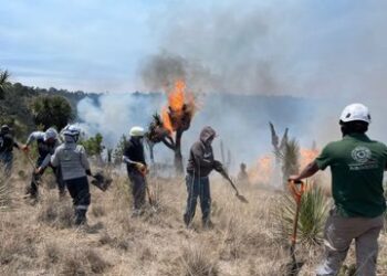 Despliegan a 436 brigadistas y tres aeronaves para controlar incendio en Atltzayanca, Tlaxcala