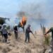 Despliegan a 436 brigadistas y tres aeronaves para controlar incendio en Atltzayanca, Tlaxcala
