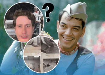 Nieto de Cantinflas aclara: no hay sirenas en la casa de Acapulco