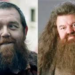 Nick Frost en negociaciones para interpretar a Hagrid en la nueva serie de ‘Harry Potter’