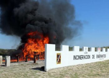 Destruyen casi dos toneladas de drogas en operativo conjunto en Tamaulipas