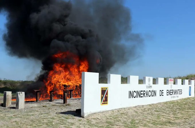 Destruyen casi dos toneladas de drogas en operativo conjunto en Tamaulipas