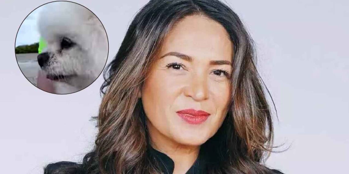 Yolanda Andrade reaparece en redes con emotivo mensaje