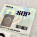 PRI plantea titulación y cédula profesional sin costo para egresados con promedio alto