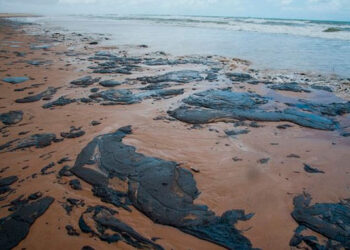 ASEA investiga a Pemex por derrame de crudo en Dos Bocas; cierran playas en Paraíso, Tabasco