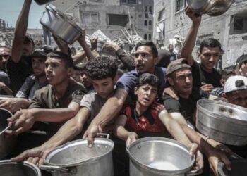 OMS denuncia bloqueo total a su ayuda humanitaria en Gaza