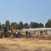Exhuman 10 cuerpos de fosas clandestinas en panteón de Chihuahua