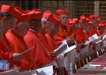 ¿Por qué algunos cardenales visten distinto durante el Cónclave 2025?