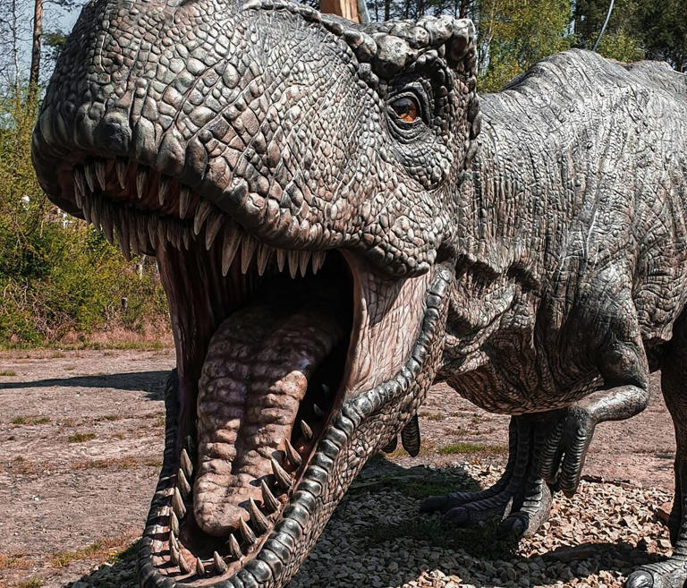 Coyosauria, el nuevo parque jurásico en Santa Úrsula Coapa, abrirá en verano de 2025. Tendrá dinosaurios a escala real, talleres interactivos y será de acceso gratuito.