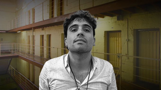 Ovidio Guzmán y otros narcos que pactaron con EE. UU. para reducir condenas