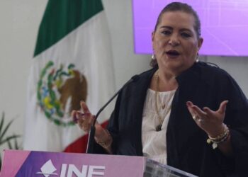 Guadalupe Taddei advierte que votar consejeros del INE complicaría su designación