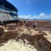 Semar supera 290 mil toneladas de sargazo recolectadas en Quintana Roo