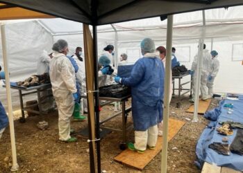Crematorio bajo investigación: familias denuncian abandono y exigen justicia