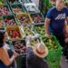 FAO: Suben precios globales de alimentos en junio por alza en carne y aceites