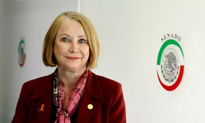 Laura Itzel Castillo asumirá presidencia del Senado en lugar de Fernández Noroña