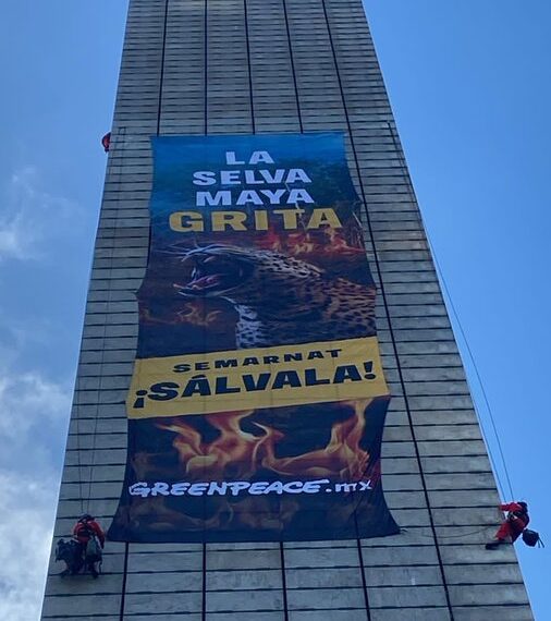Activistas de Greenpeace toman la Estela de Luz para exigir salvar la Selva Maya