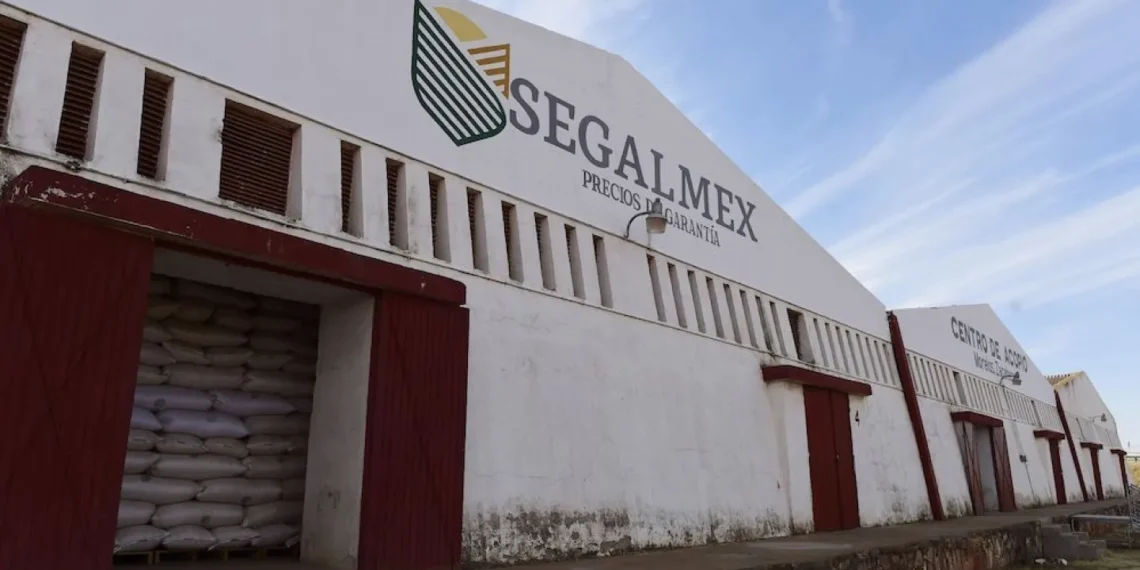 Sheinbaum promete esclarecer corrupción en Segalmex e Insabi